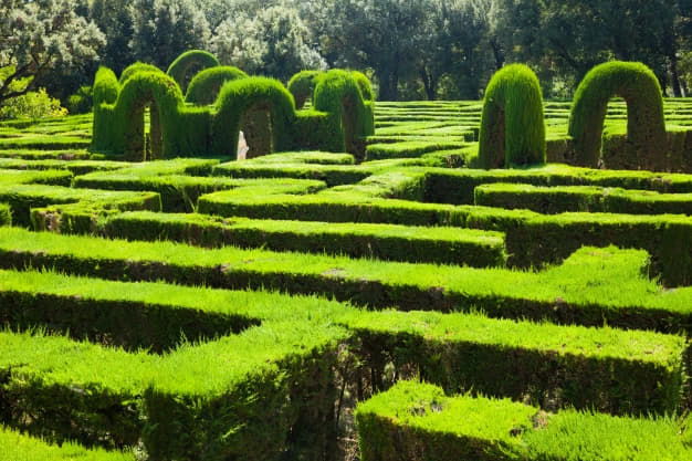 labyrinthe végétal